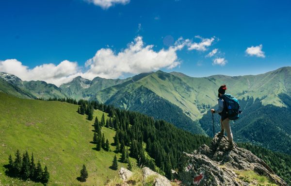 pexels-photo-1271619-1271619 Adventurous hiker enjoying breathtaking views of lush green mountains in Romania under a clear blue sky.